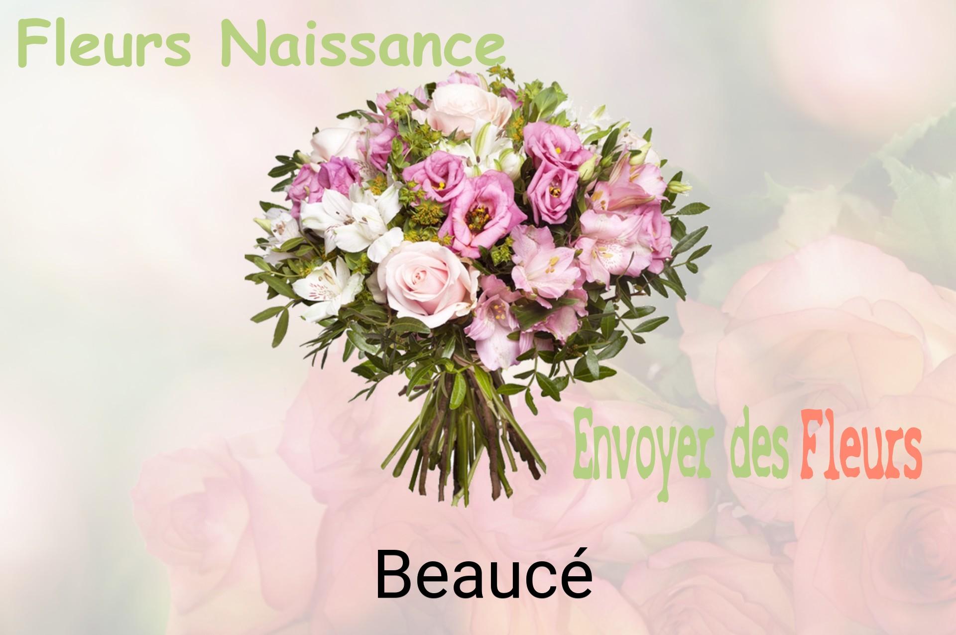 Bouquet de fleurs de naissance livré à Beaucé
